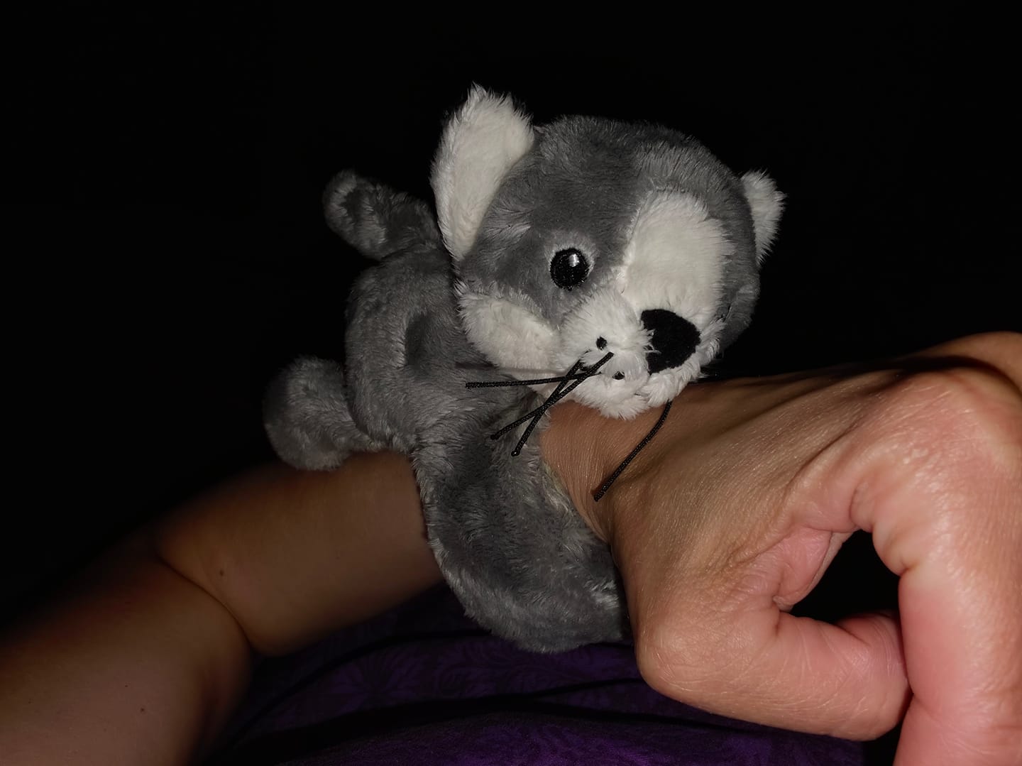Customer photo review of Mini Lotgenootje Kat