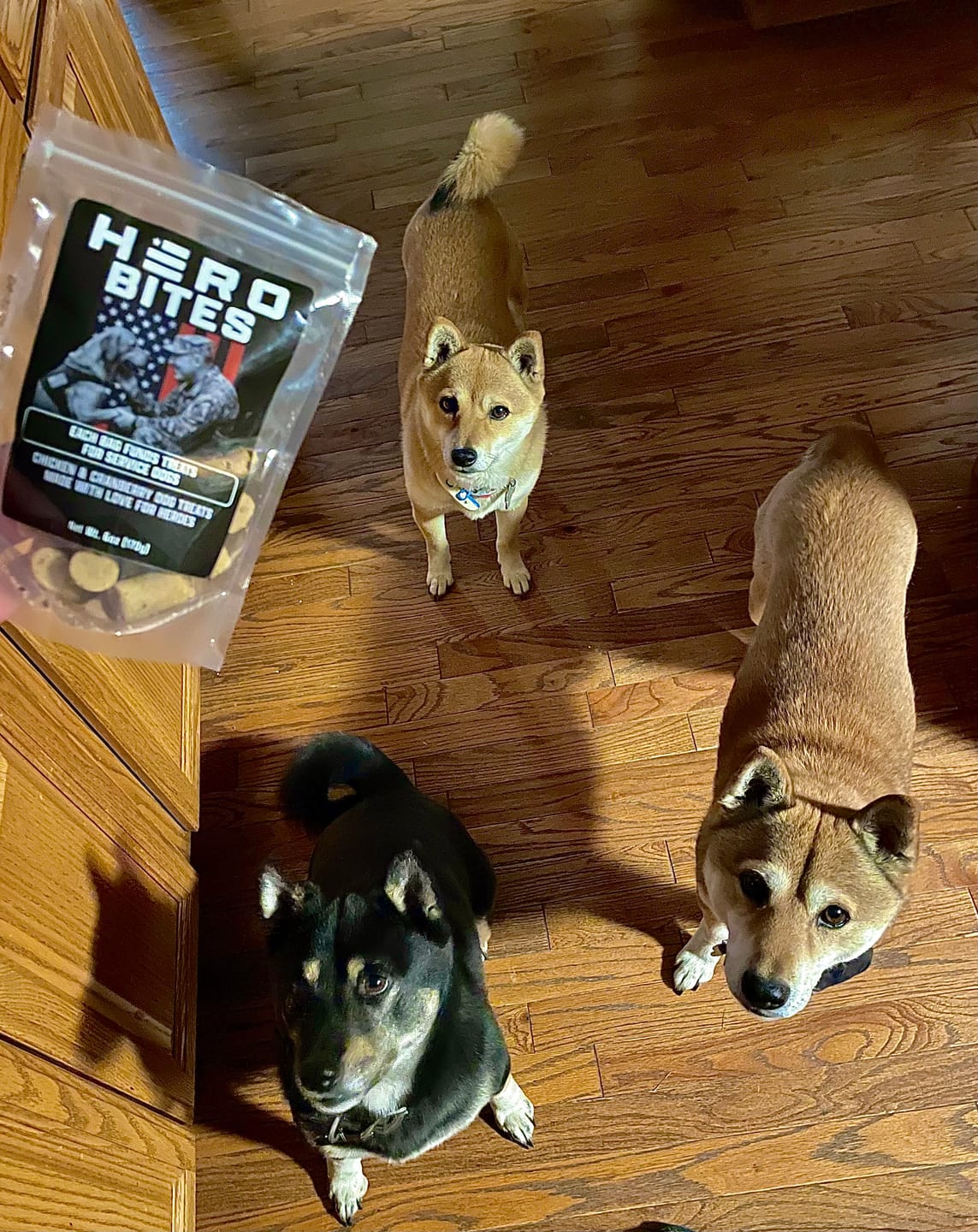 Customer photo review of Hero Bites - Dog Treats with Chicken and Cranberry-Helps Fund Snacks for Service Dogs