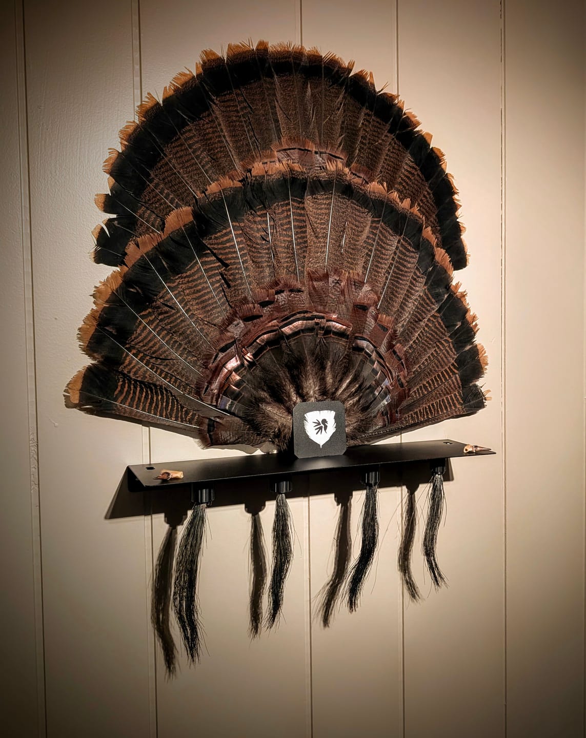 Customer photo review of Beard Shelf | Turkey Beard/Leg/Fan System