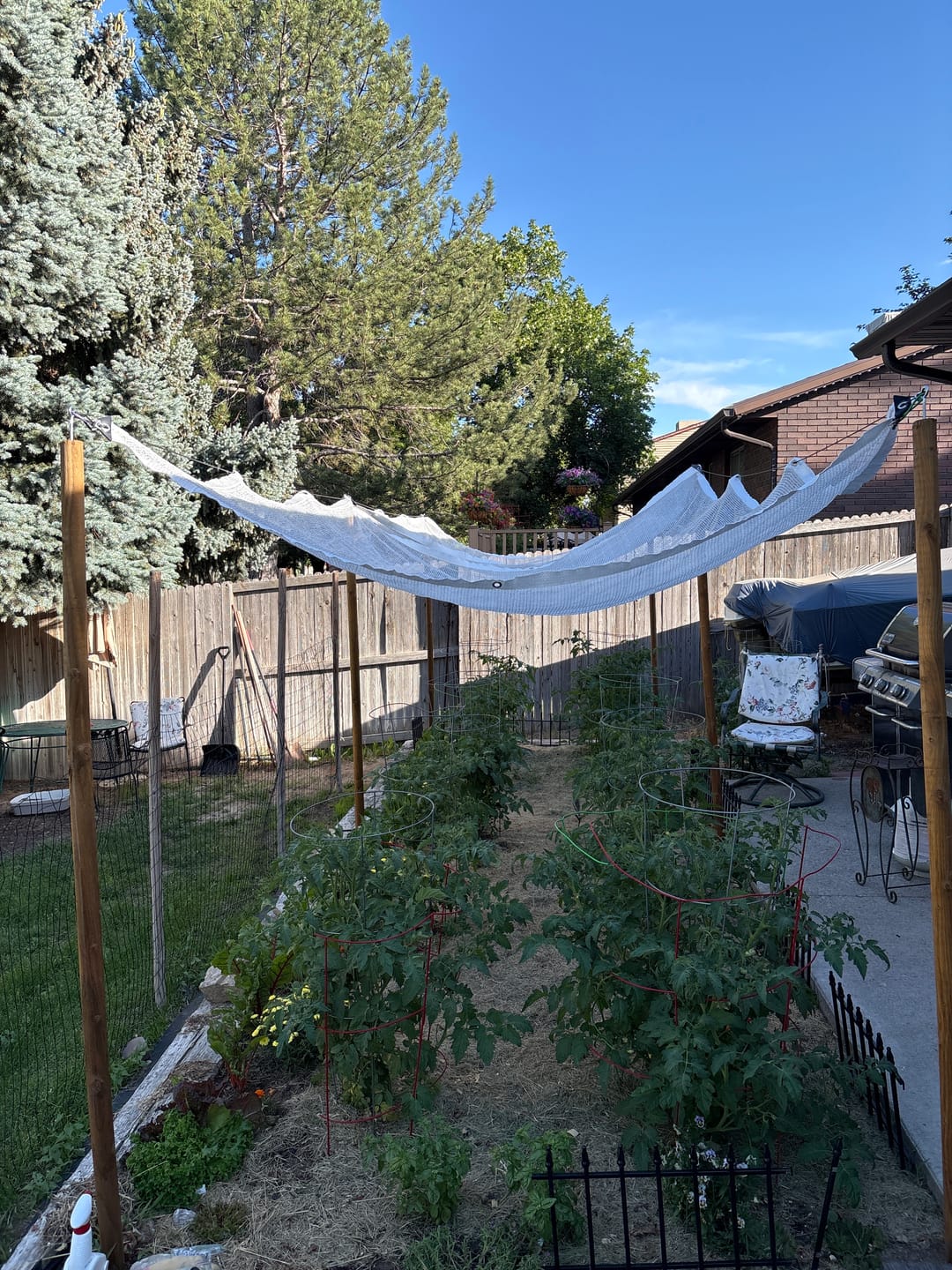 Customer photo review of 40% Shade Cloth