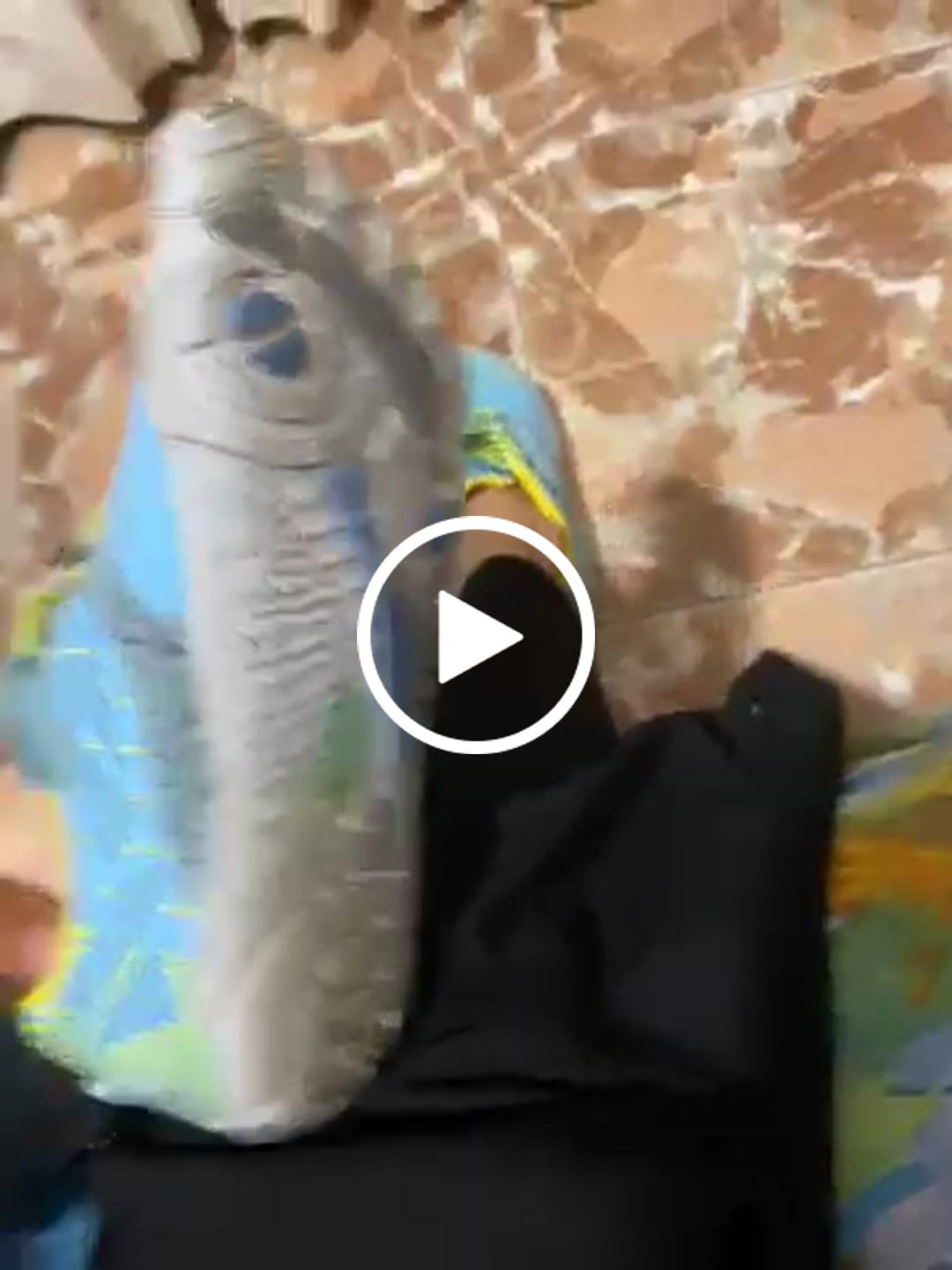 Customer video review of Free Ⅰ - Zapatos Barefoot