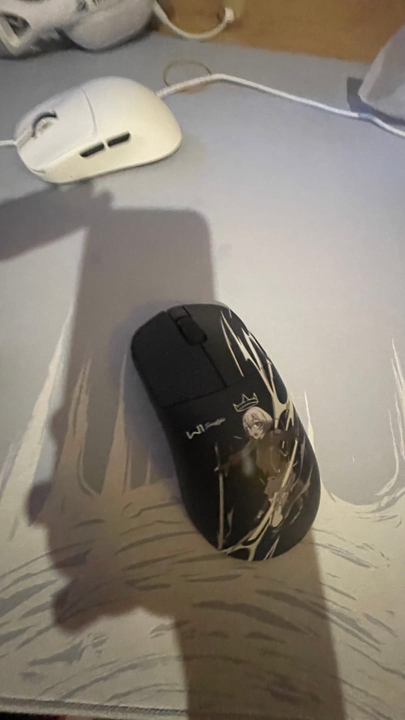 Customer photo review of Wraith W1 Wireless Mouse