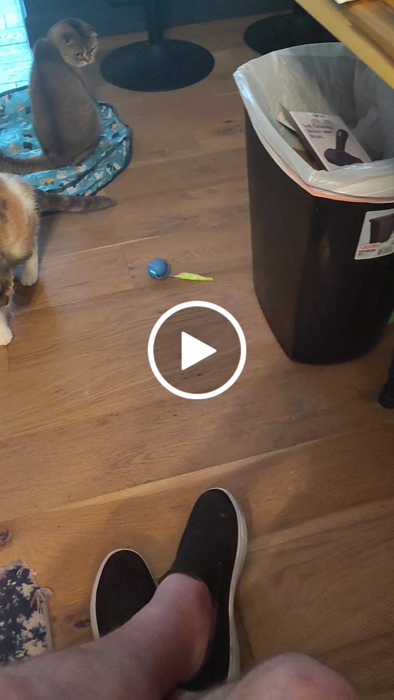 Customer video review of SPEEDY TAIL 2.0