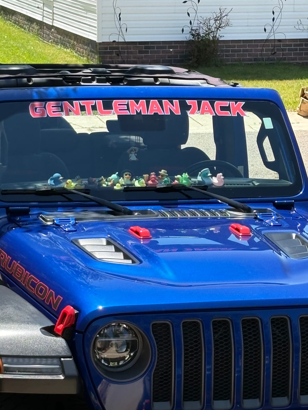 Customer photo review of Windshield Lettering