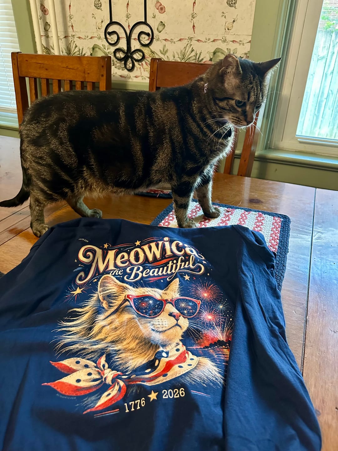 Customer photo review of Meowica the Beautiful | Patriotic Cat T-Shirt