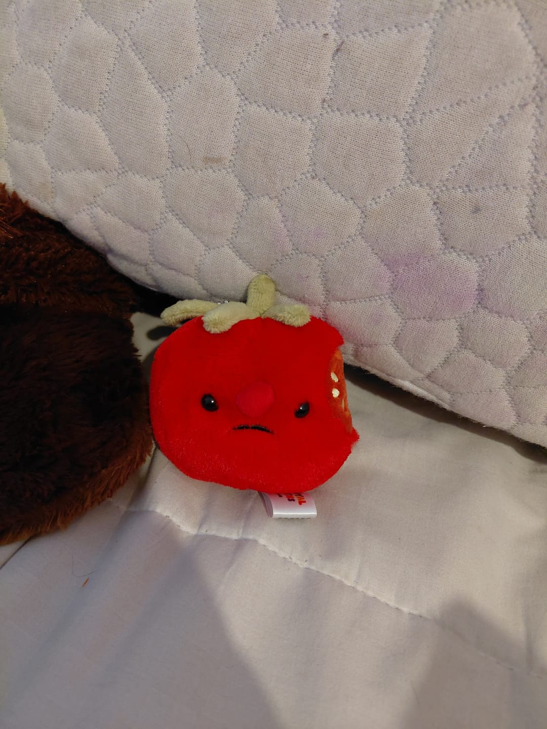 Customer photo review of Forgotten Bitten Tomato