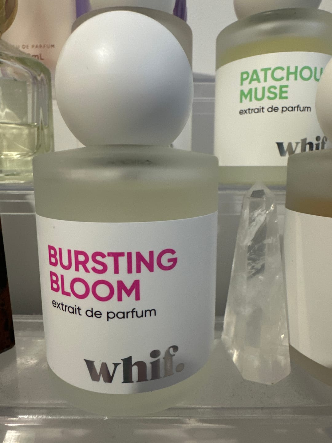 Customer photo review of Bursting Bloom