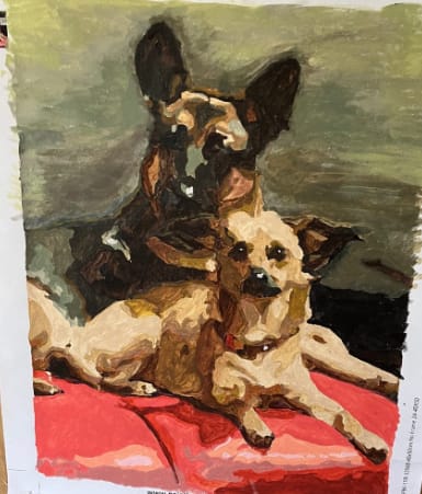 Customer photo review of Custom Paint By Numbers - Personalized Pet Portraits