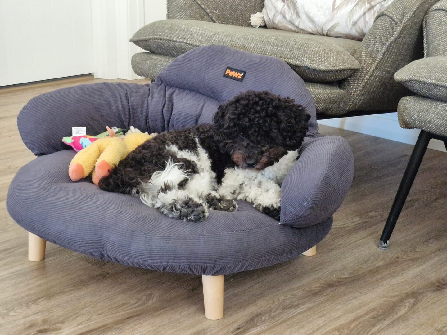 Customer photo review of CloudNest Elevated Pet Sofa Bed