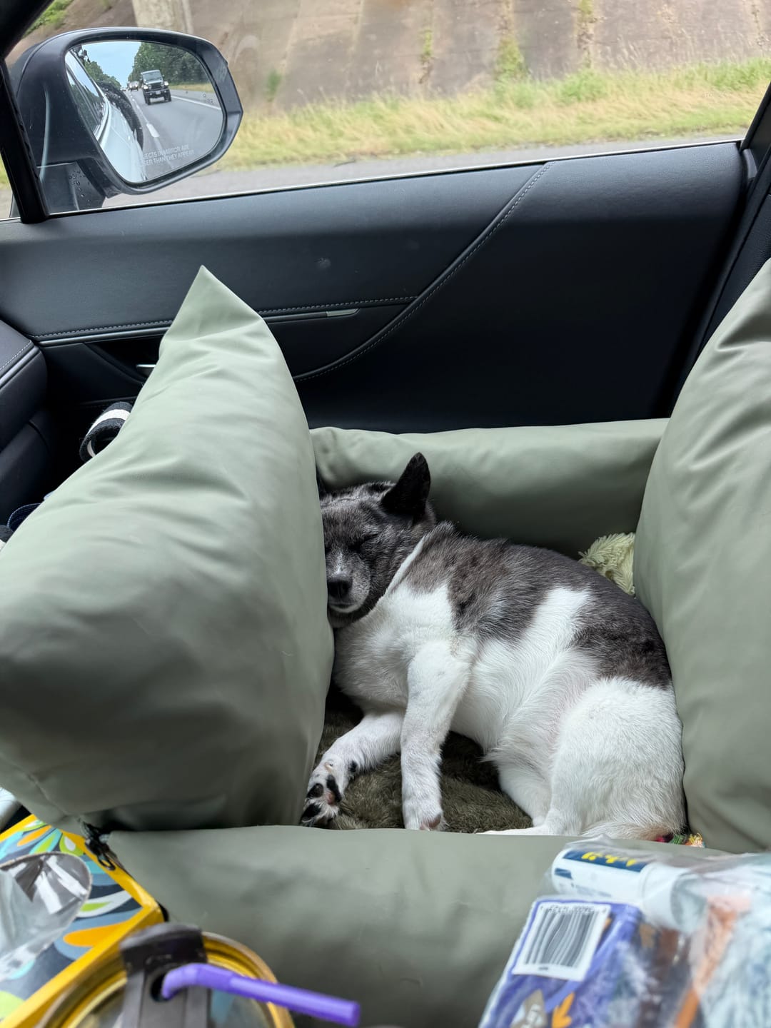 Customer photo review of The Dog Dock V2 New & Improved with LATCH / ISO FIX anchors