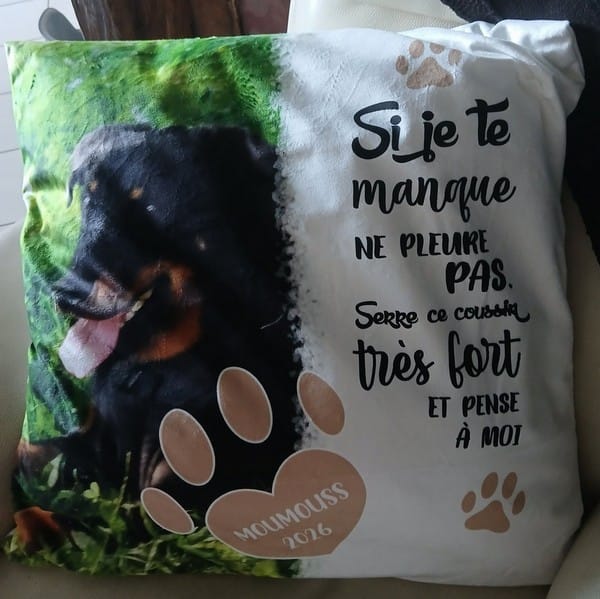 Customer photo review of Si je te manque - Coussin personnalisé