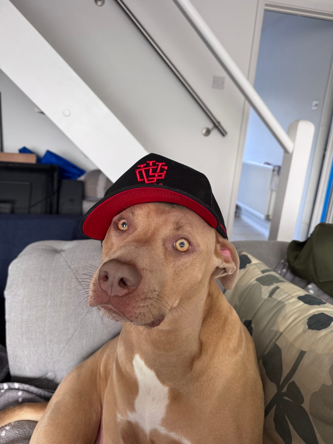 Customer photo review of ULTRA FIT Black Flame A-Frame Snapback