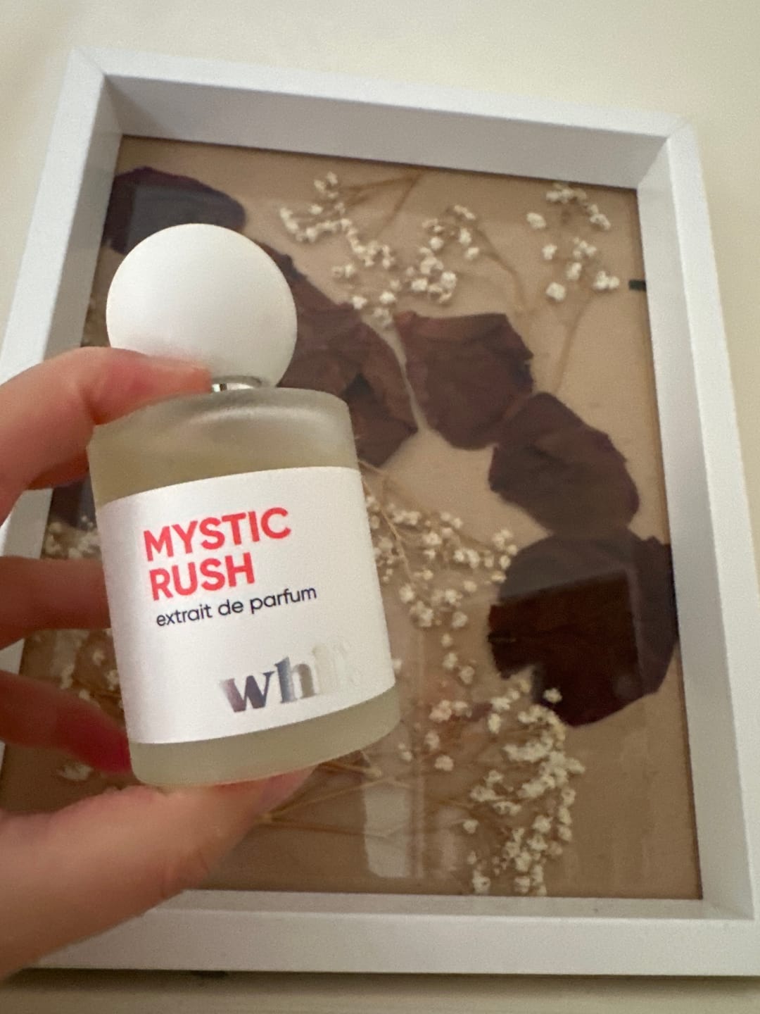 Customer photo review of Mystic Rush