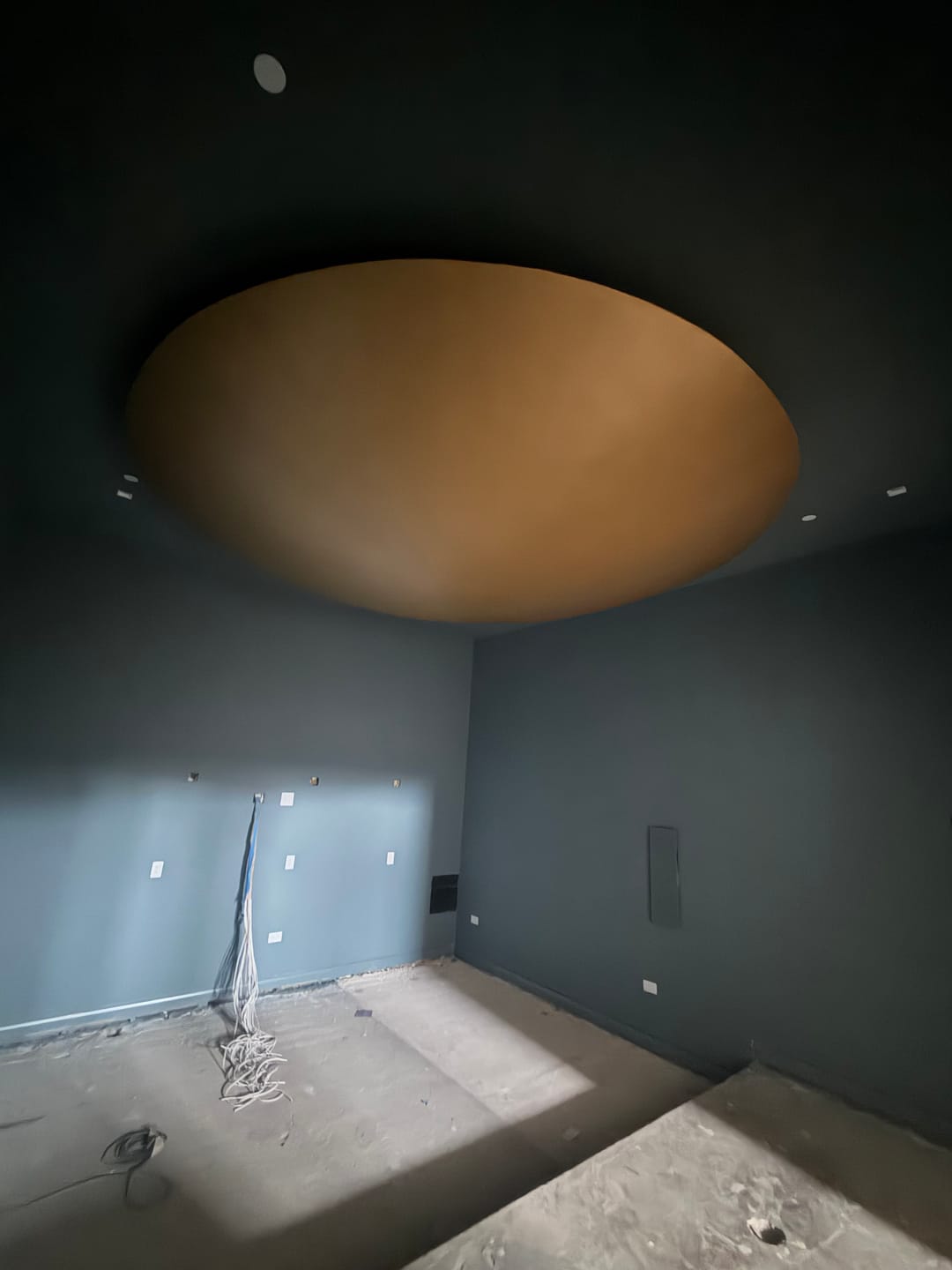 Customer photo review of Metallic Paint
