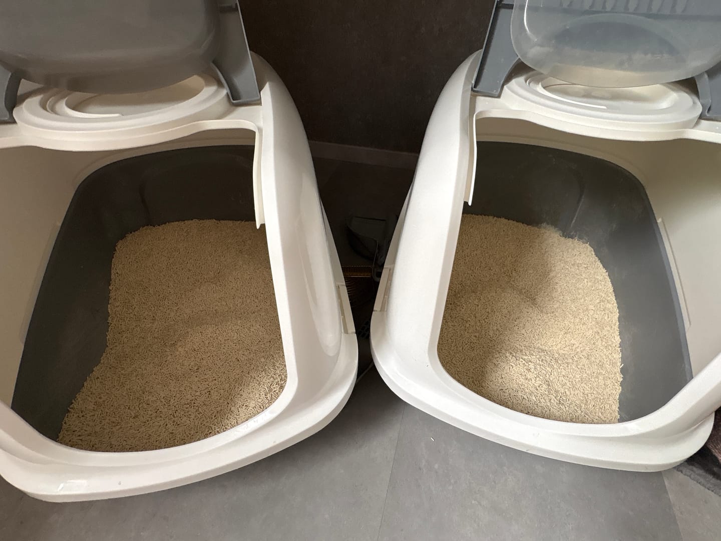 Customer photo review of Katzenstreu 2+1 Aktion