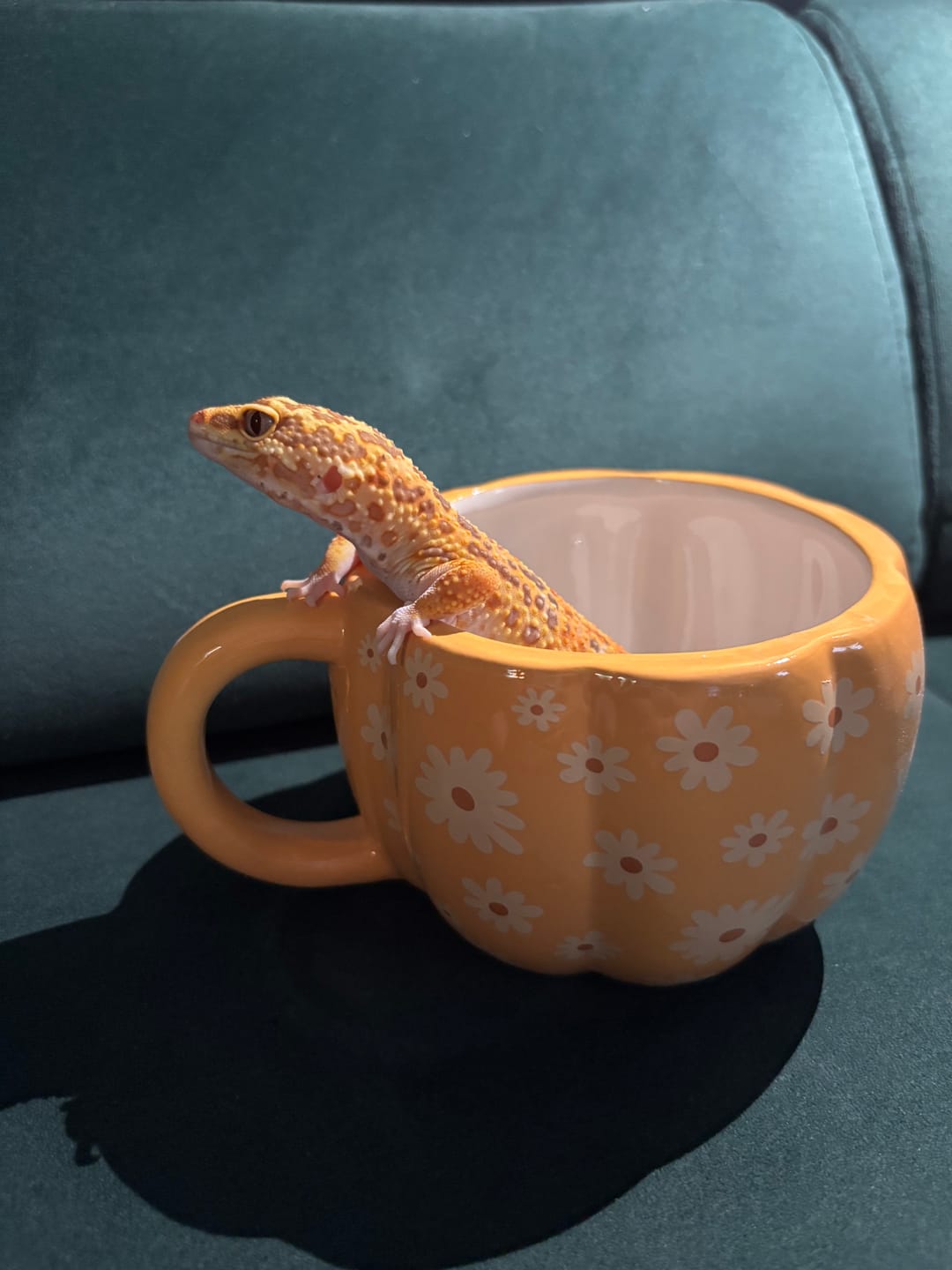 Customer photo review of Florale Kürbis-Tasse – mit Deckel