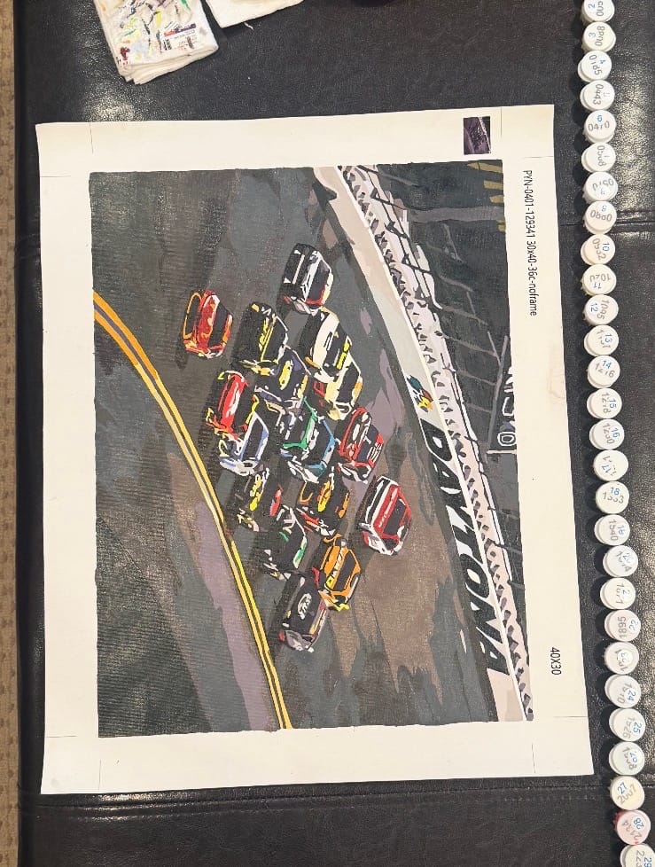 Customer photo review of Custom Paint By Numbers Kit