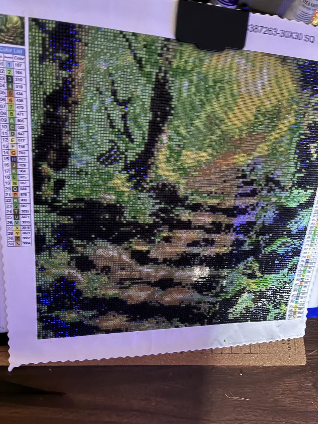 Customer photo review of Steps Along the Forest Path - Time Limited Exclusive Diamond Painting Kit