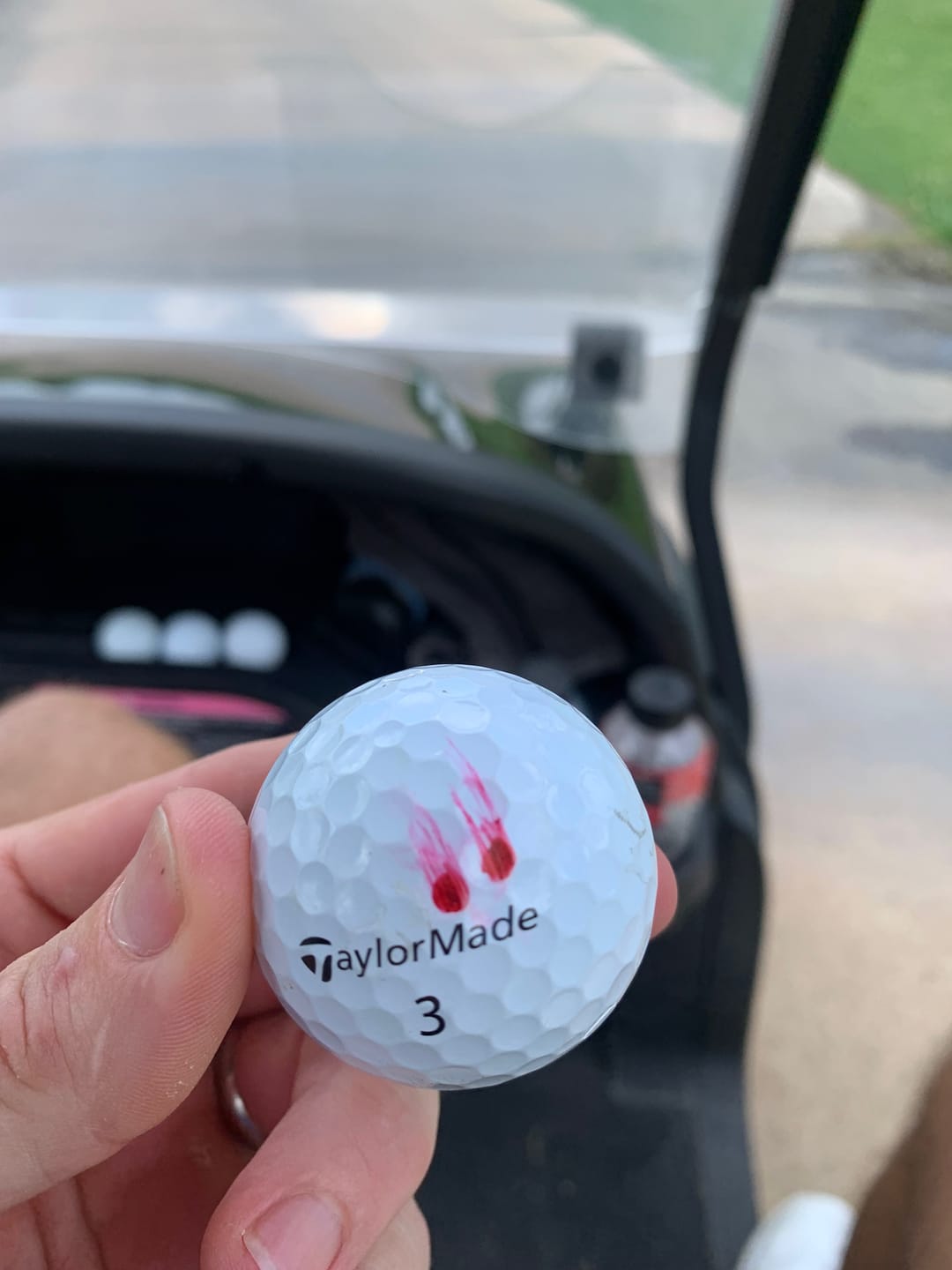 Customer photo review of Golf Pens
