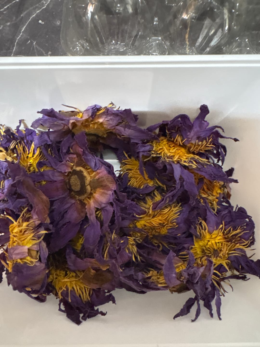Customer photo review of PRE ORDER Blue Lotus Flower (Nymphaea caerulea)