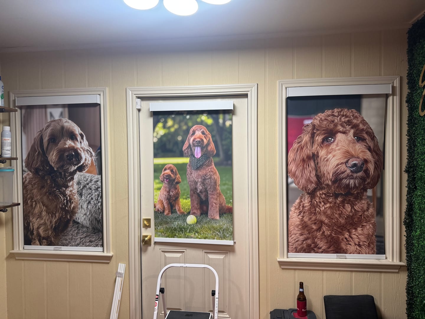 Customer photo review of Custom Printed Roller Shades