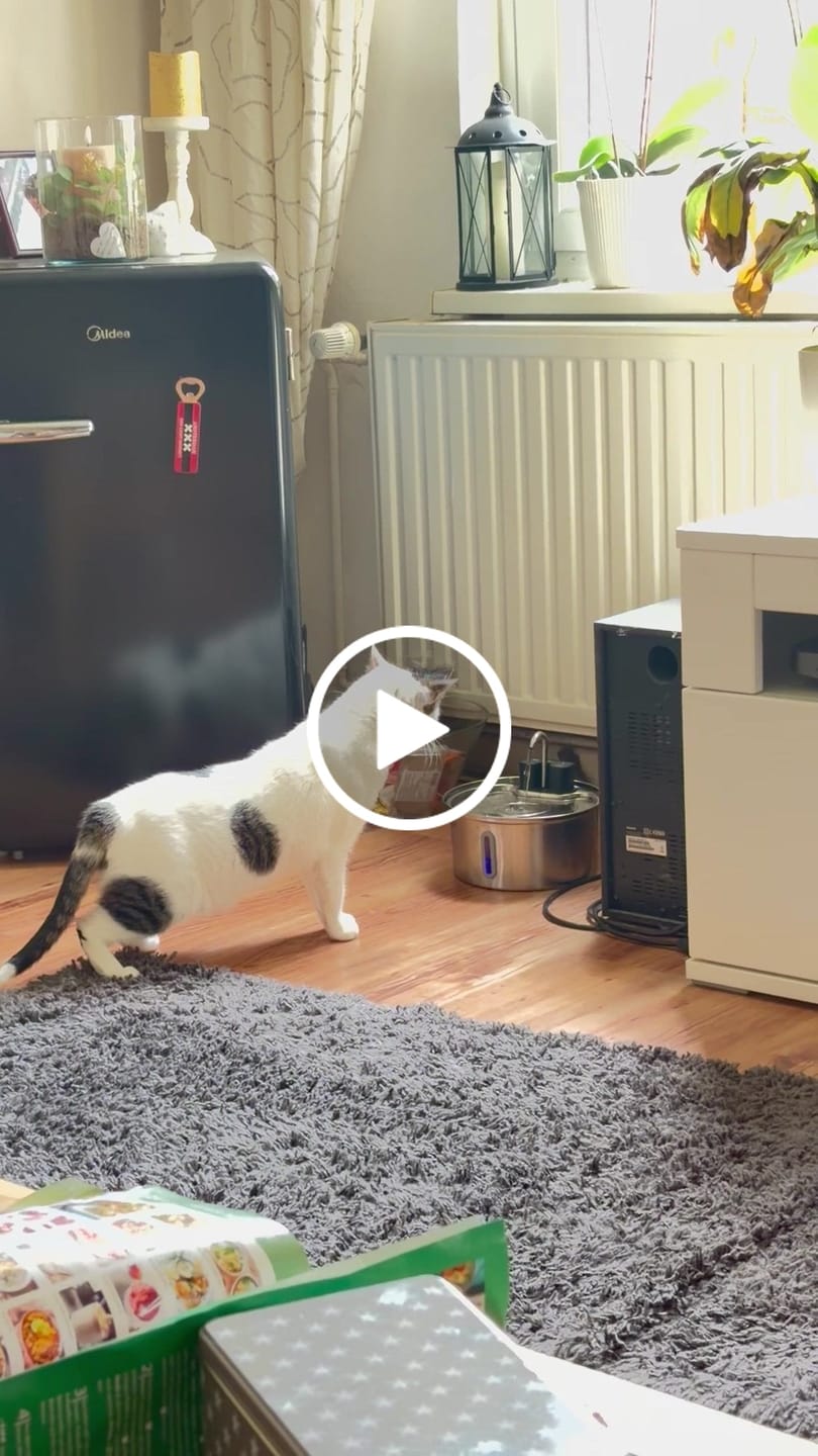 Customer video review of NordFlow 2.0 Katzenbrunnen