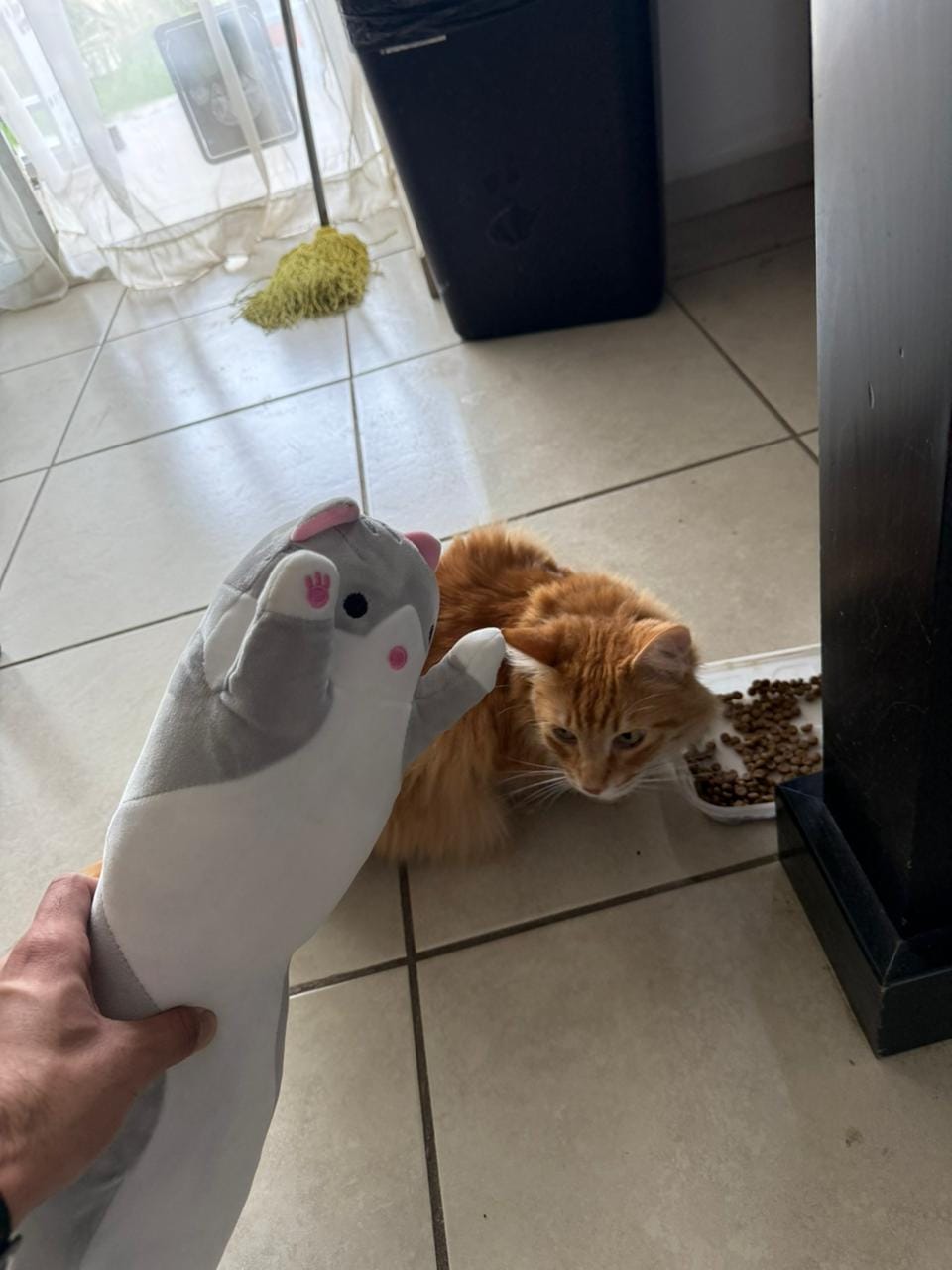 Customer photo review of Gatito Térmico