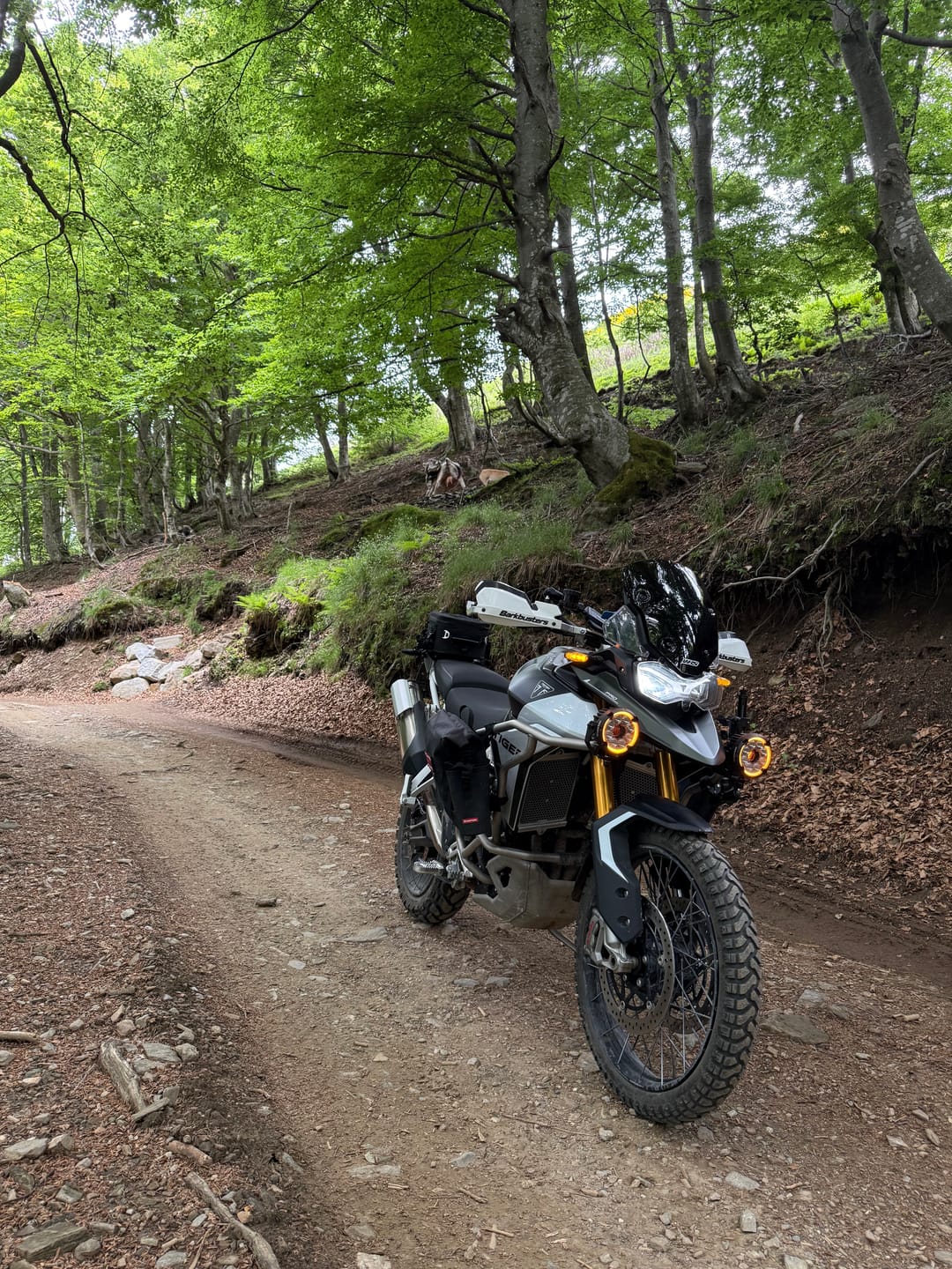 Customer photo review of MTL9 Motorcycle Lights  – The World’s Smartest Motorcycle Auxiliary Lighting System