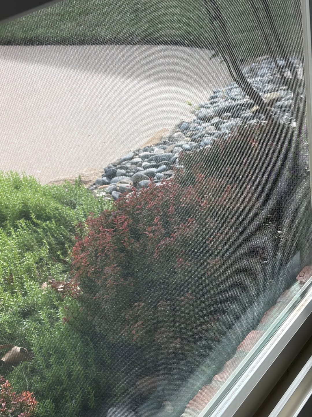 Customer photo review of JeaverCloth – the USA Favorite Window & Glass Door Cleaning Cloth (24x16 Inches)