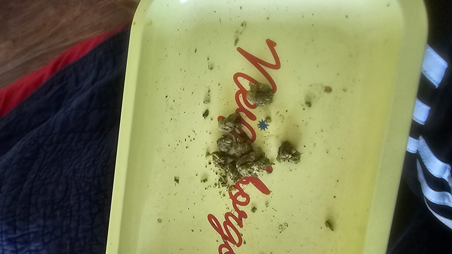 Customer photo review of Biscotti Cake - 28 Grams - Hybrid