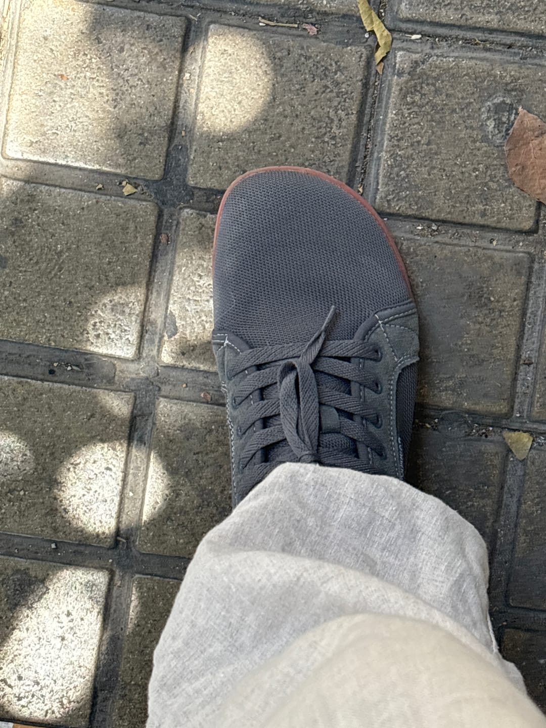 Customer photo review of Bugle - Barefoot De Ocio