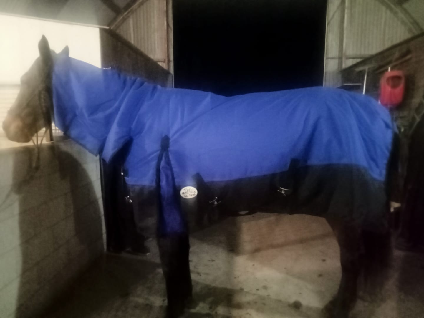 Customer photo review of NZ Tack Duke 1200D Combo