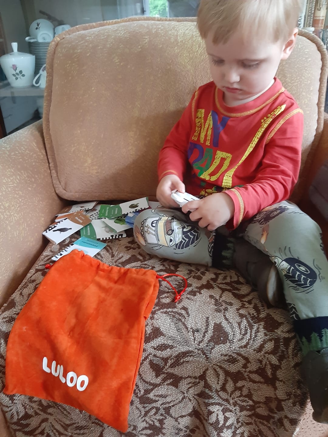 Customer photo review of Luloo kalbos kortelės - įgarsintos lavinamosios kortelės, kalbančios lietuviškai