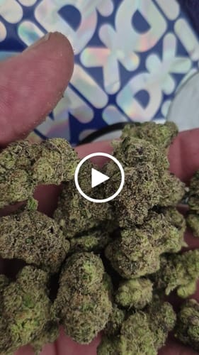 Indoor Exotic Hashburger - Bulk - Indica photo review
