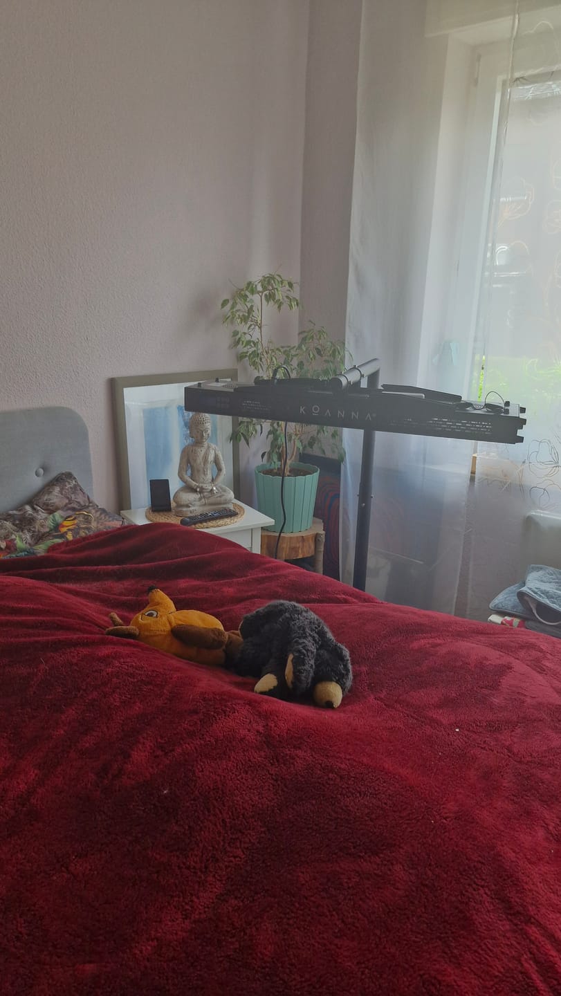 Customer photo review of Koanna® Luma1000™ – Kraftvolles, mittelgroßes Rotlicht-Panel