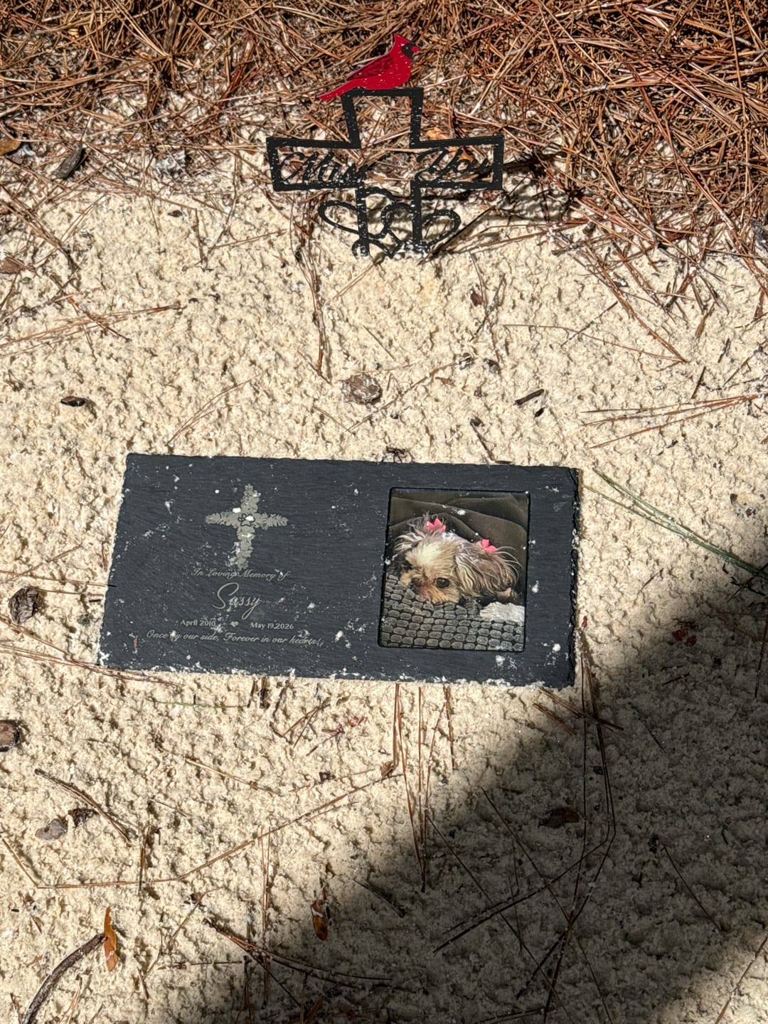 Customer photo review of Custom Pet Memorial Stones with Picture Dog Cat Memorial Garden Stones Pet Grave Markers Personalized