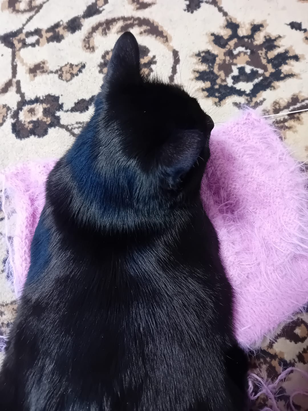 Customer photo review of Gazzal Marilyn & Merinos