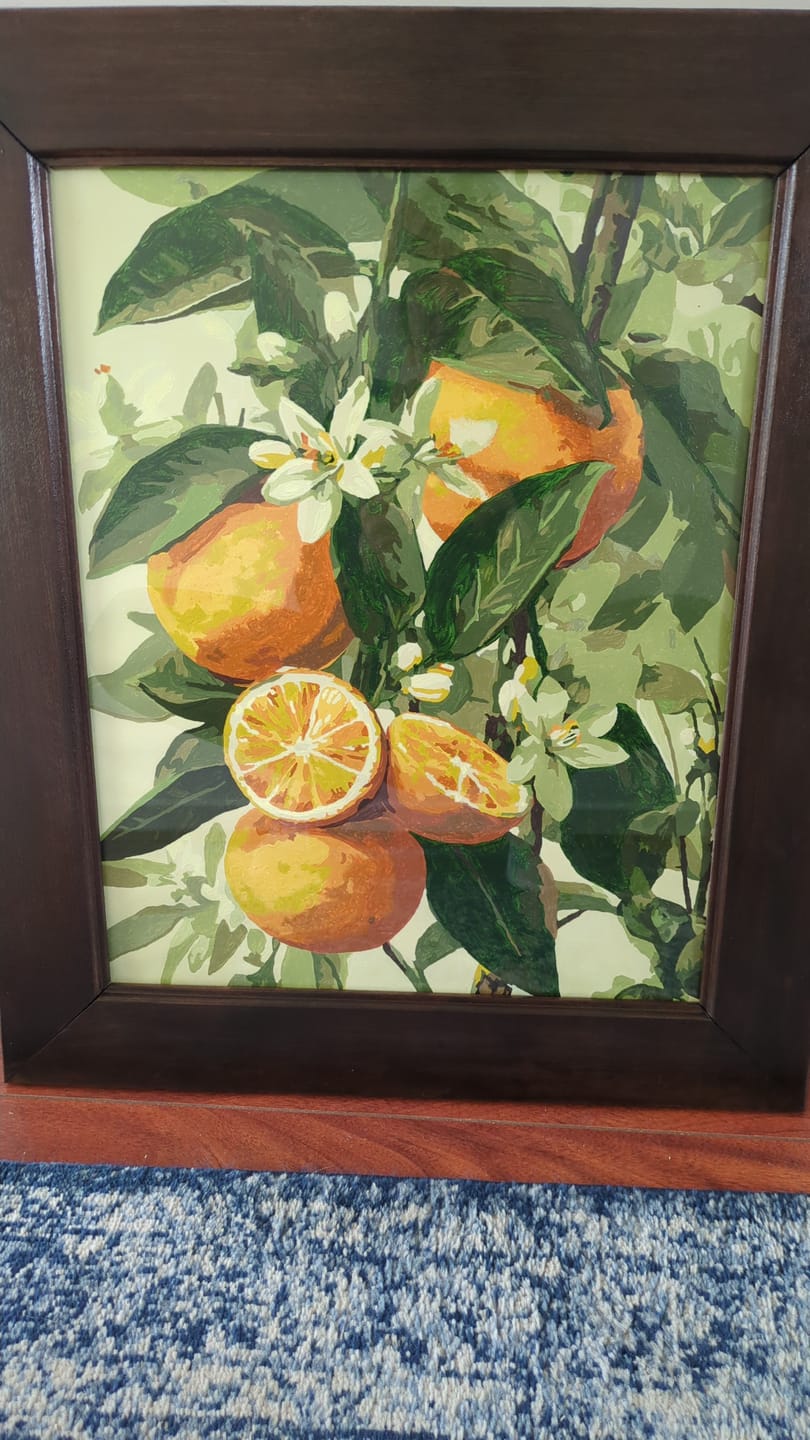 Customer photo review of Blooming citrus fruits | Paint by Number