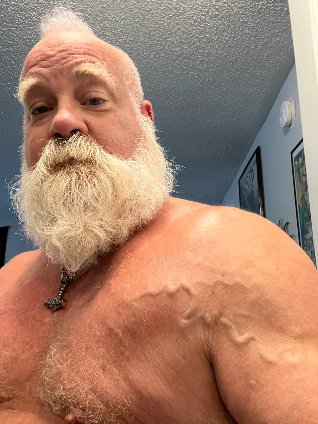 Customer photo review of Hardgainer, Recovery, Mass Builder Blend - Equi-Mass™
