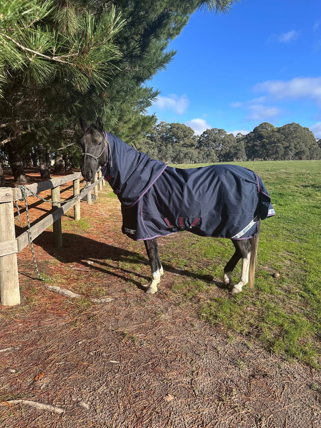 Customer photo review of LE Boxter Turnout Ripstop 0g with Fleece