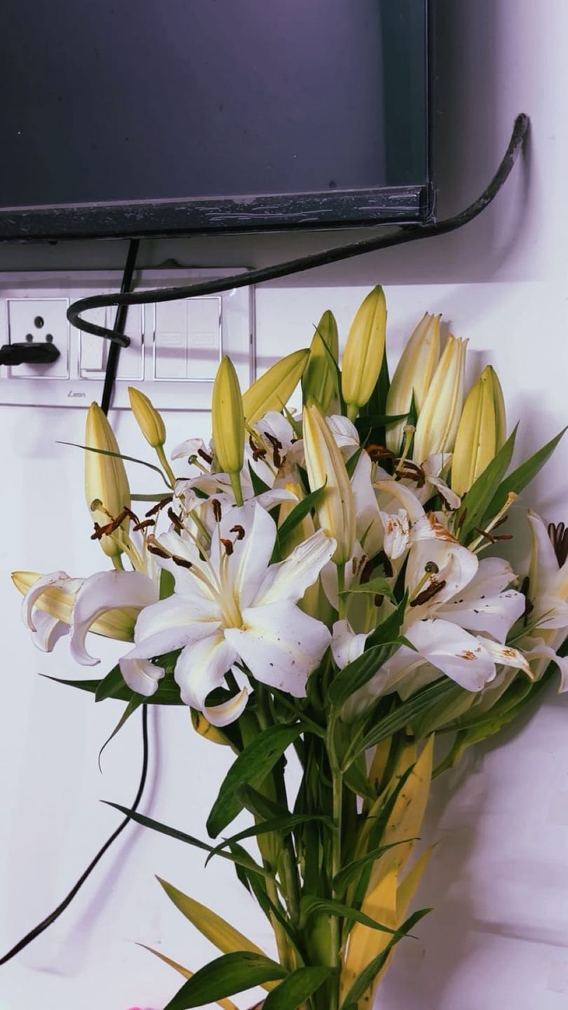 Customer photo review of Oriental Lily