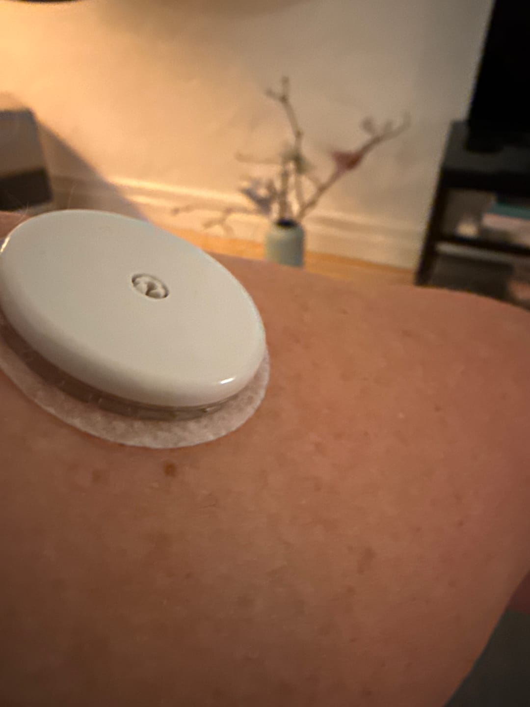 Customer photo review of Freestyle Libre 2 Sensor Type 2