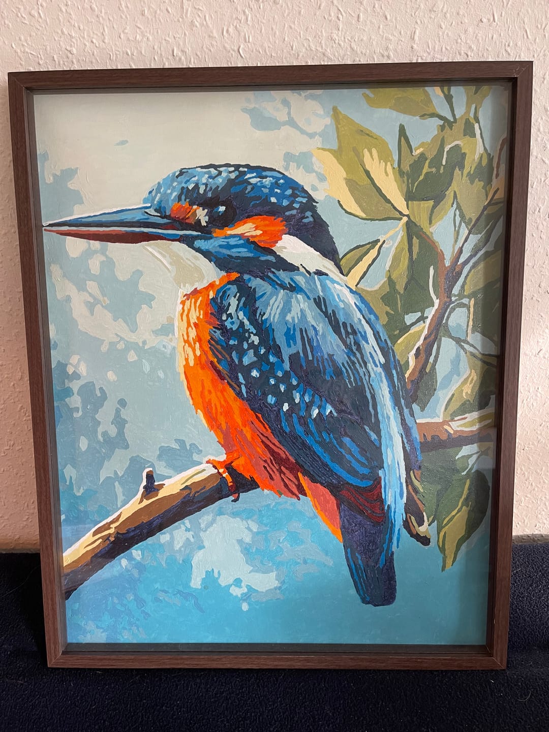 Customer photo review of IJsvogel