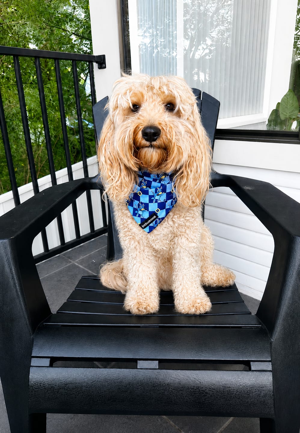 Customer photo review of BANDANA - TRUE BLUEY