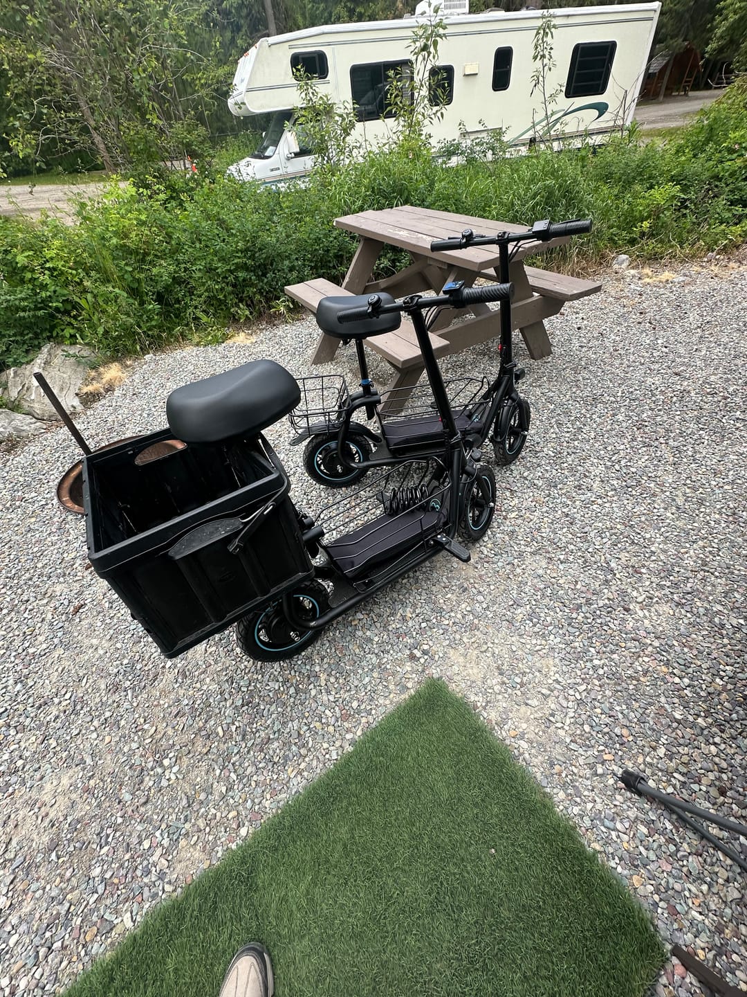 Customer photo review of Gyroor 800W Electric Scooter with Large Basket for Pets & Cargo