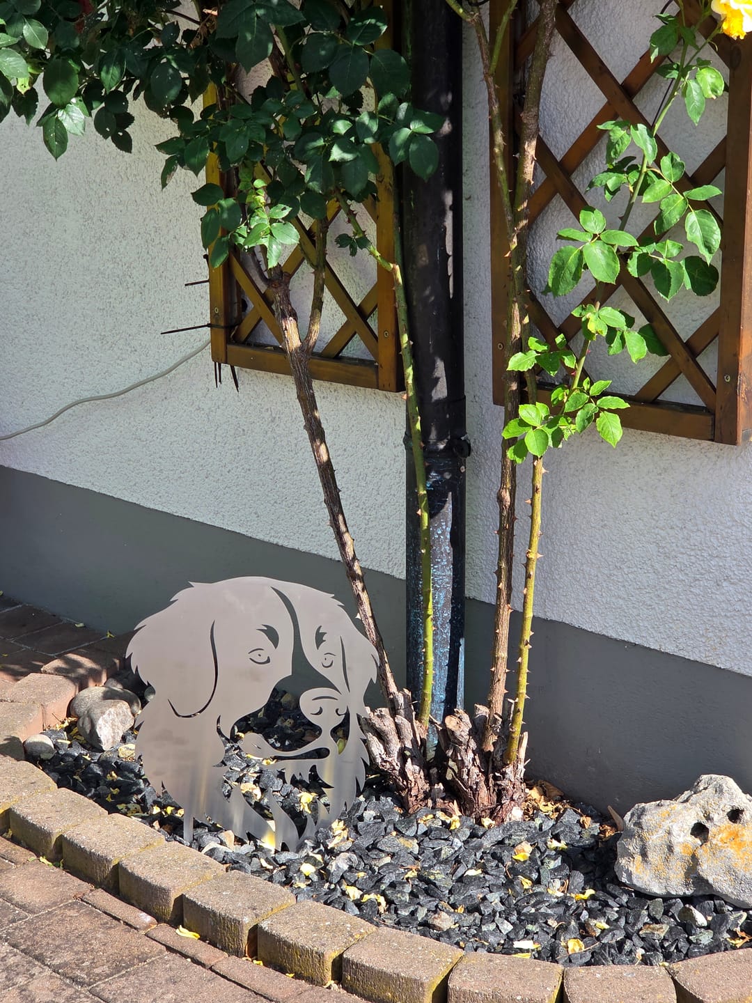 Customer photo review of Gartenstecker Berner Sennenhund Portrait