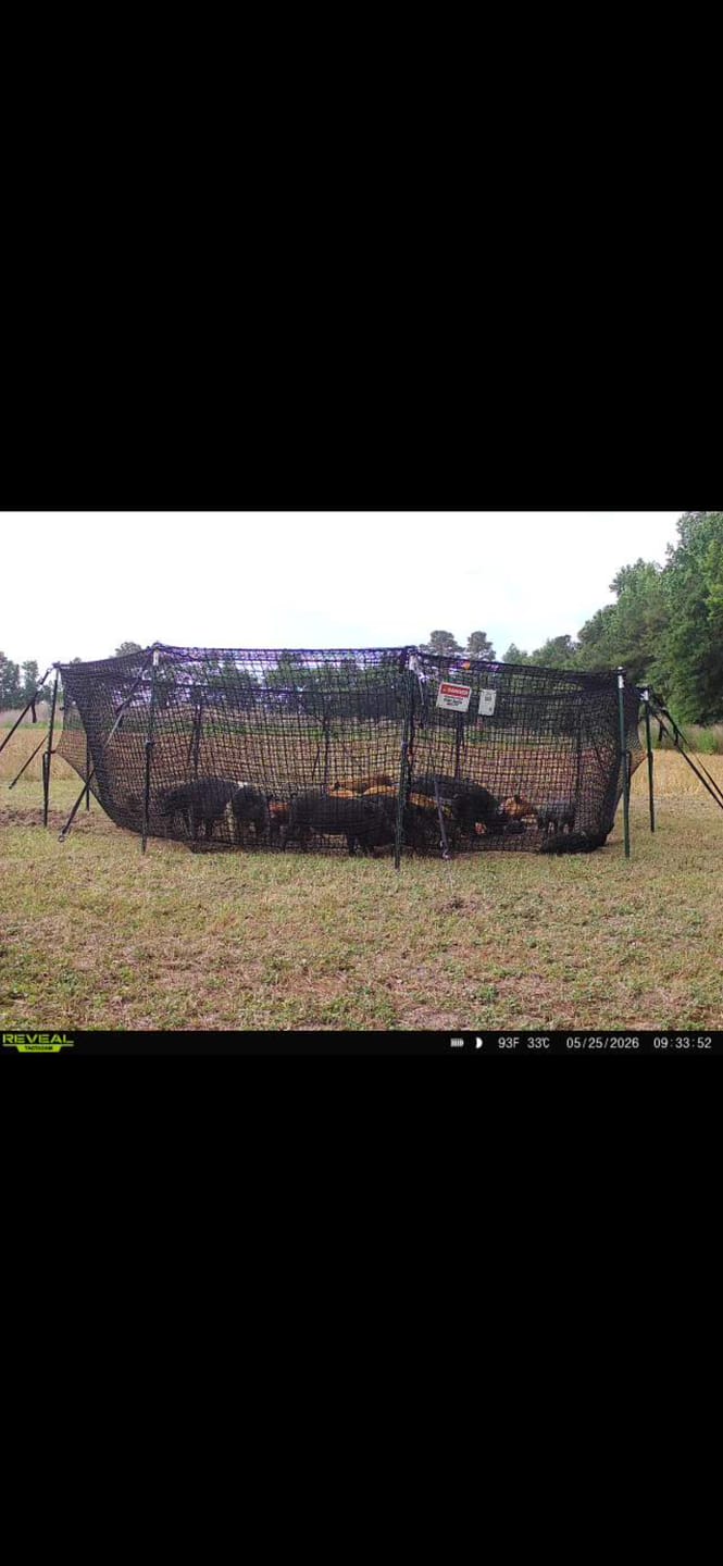 Customer photo review of Pig Brig Trap System