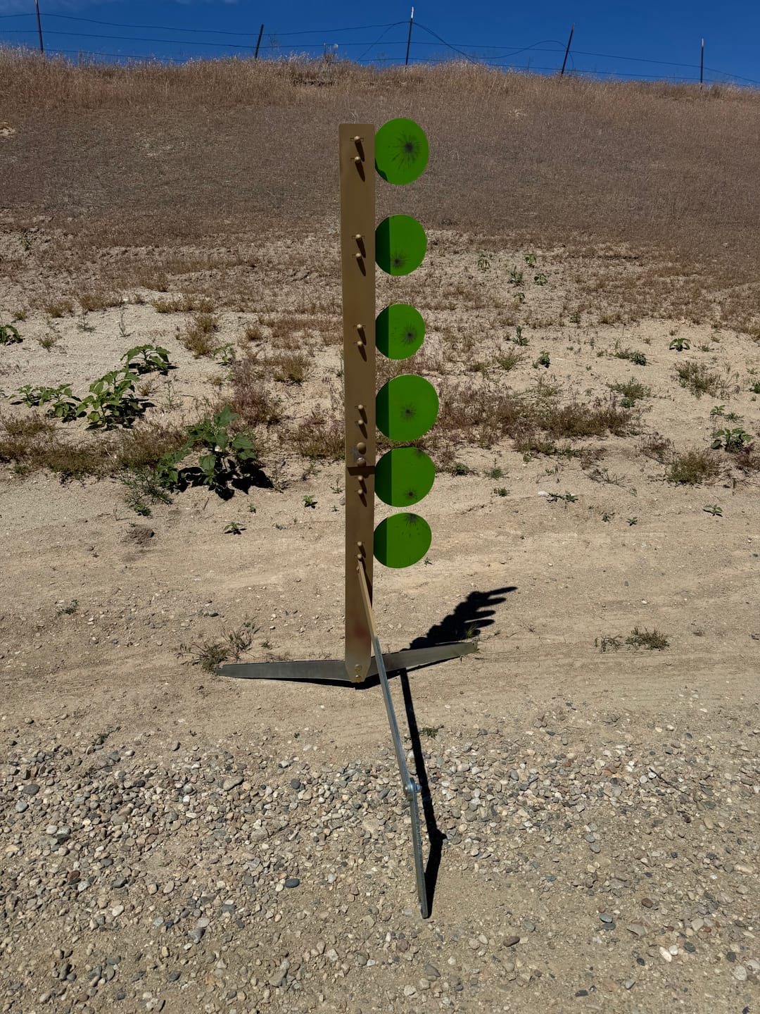 Customer photo review of Dueling Tree Target