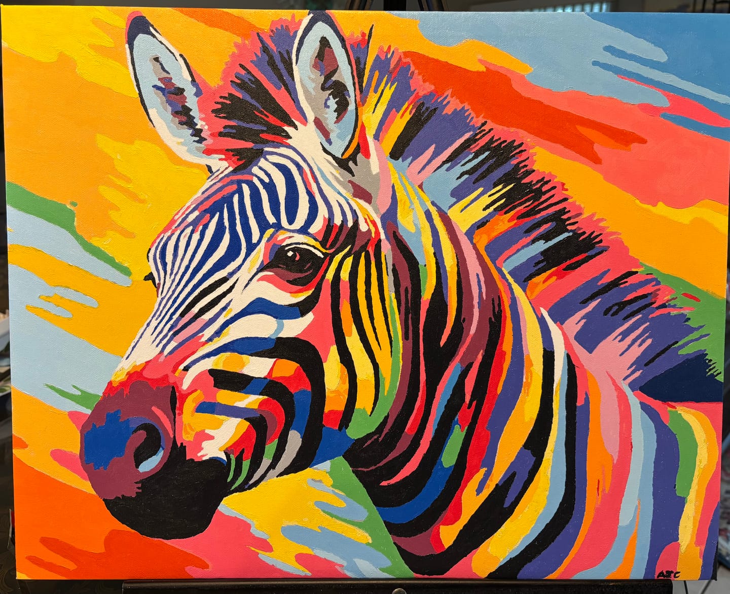 Customer photo review of Rainbow Zebra