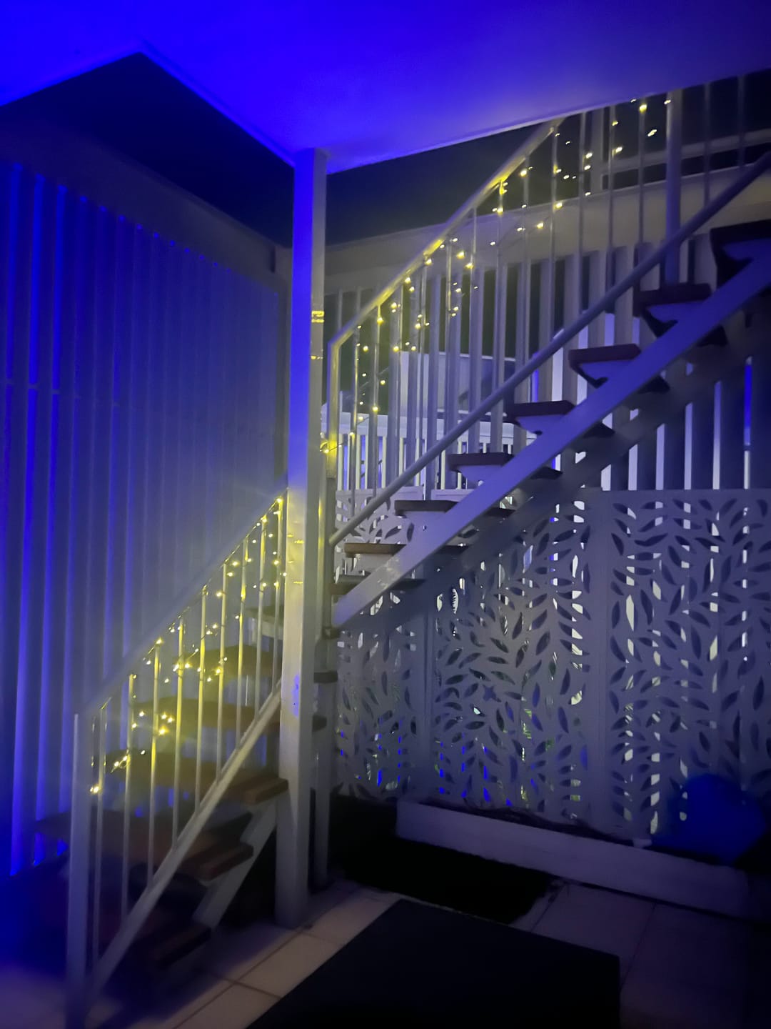 Customer photo review of SolaGarden™ Fairy String Lights